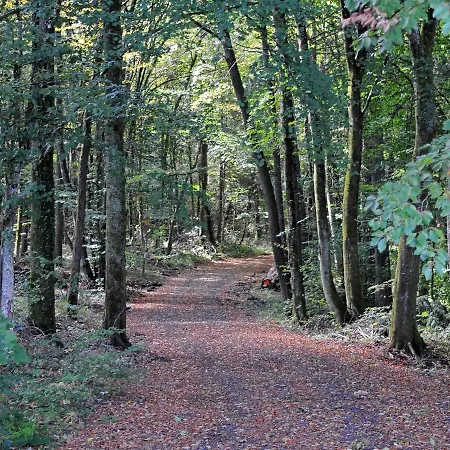 Detached With Terrace In A Wooded Area *